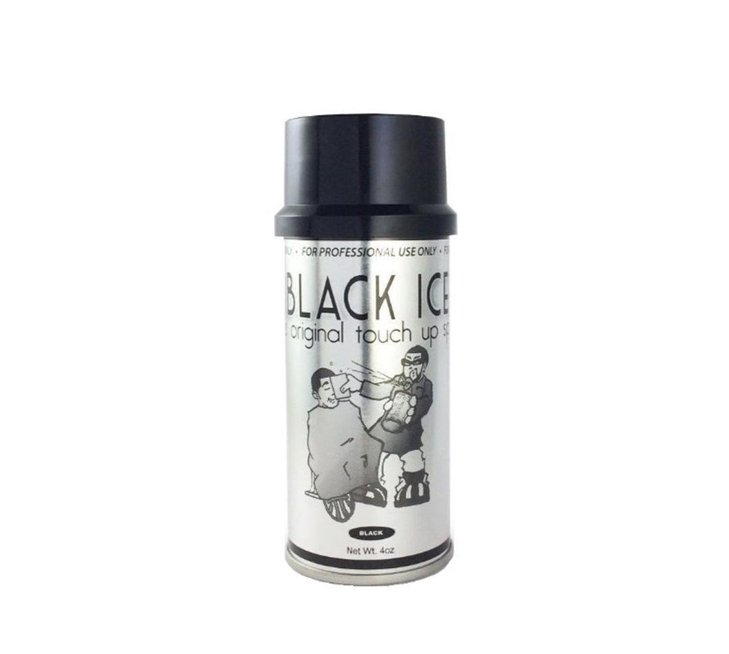 Black Ice Touch Up Spray