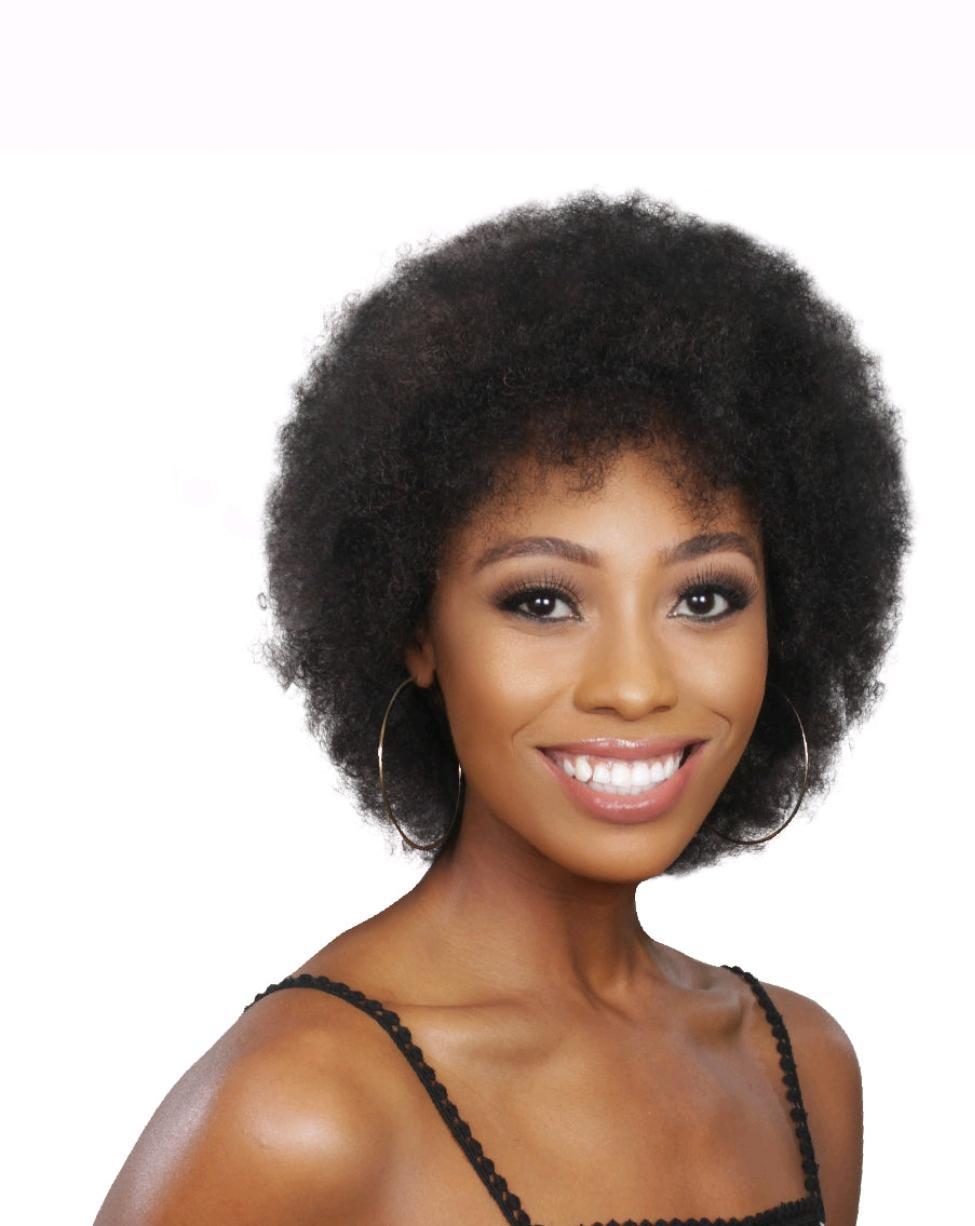 Afro Wig (small)